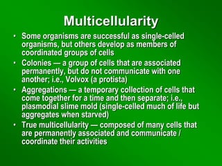 Multicellularity
• Some organisms are successful as single-celled
organisms, but others develop as members of
coordinated groups of cells
• Colonies — a group of cells that are associated
permanently, but do not communicate with one
another; i.e., Volvox (a protista)
• Aggregations — a temporary collection of cells that
come together for a time and then separate; i.e.,
plasmodial slime mold (single-celled much of life but
aggregates when starved)
• True multicellularity — composed of many cells that
are permanently associated and communicate /
coordinate their activities
 