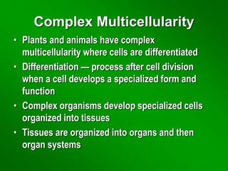 Complex Multicellularity
• Plants and animals have complex
multicellularity where cells are differentiated
• Differentiation — process after cell division
when a cell develops a specialized form and
function
• Complex organisms develop specialized cells
organized into tissues
• Tissues are organized into organs and then
organ systems
 