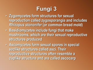 Fungi 3
• Zygomycetes form structures for sexual
reproduction called zygosporangia and includes
Rhizopus stononifer (or common bread mold)
• Basidiomycetes include fungi that make
mushrooms, which are their sexual reproductive
structures produced
• Ascomycetes form sexual spores in special
saclike structures called asci. Their
reproductive structures often resemble a
cuplike structure and are called ascocarp
 
