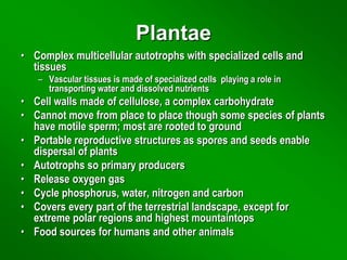 Plantae
• Complex multicellular autotrophs with specialized cells and
tissues
– Vascular tissues is made of specialized cells playing a role in
transporting water and dissolved nutrients
• Cell walls made of cellulose, a complex carbohydrate
• Cannot move from place to place though some species of plants
have motile sperm; most are rooted to ground
• Portable reproductive structures as spores and seeds enable
dispersal of plants
• Autotrophs so primary producers
• Release oxygen gas
• Cycle phosphorus, water, nitrogen and carbon
• Covers every part of the terrestrial landscape, except for
extreme polar regions and highest mountaintops
• Food sources for humans and other animals
 