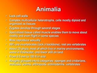 Animalia
• Lack cell walls
• Complex multicellular heterotrophs, cells mostly diploid and
organized as tissues
• Zygotes develop through several stages
• Specialized tissue called muscle enables them to move about
readily and even flight in some species
• Most reproduce sexually
• 99% are invertebrates (lack a backbone), rest are vertebrates
• About 35 phyla, most of which live in marine environments,
some in freshwater, and fewer still on land
• From 0.5 mm to 100 ft in size
• Roughly grouped into 6 categories: sponges and cnidarians,
mollusks, worms, arthropods, echinoderms, vertebrates
 