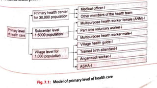 Health Level Names Levels of health care and health care settings | PPTX