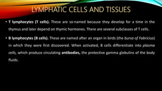 LYMPHATIC CELLS AND TISSUES
• T lymphocytes (T cells). These are so-named because they develop for a time in the
thymus and later depend on thymic hormones. There are several subclasses of T cells.
• B lymphocytes (B cells). These are named after an organ in birds (the bursa of Fabricius)
in which they were first discovered. When activated, B cells differentiate into plasma
cells, which produce circulating antibodies, the protective gamma globulins of the body
fluids.
 