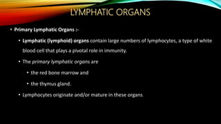 LYMPHATIC ORGANS
• Primary Lymphatic Organs :-
• Lymphatic (lymphoid) organs contain large numbers of lymphocytes, a type of white
blood cell that plays a pivotal role in immunity.
• The primary lymphatic organs are
• the red bone marrow and
• the thymus gland.
• Lymphocytes originate and/or mature in these organs.
 