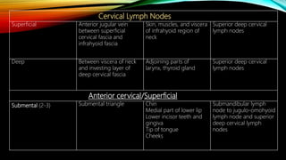 Cervical Lymph Nodes
Superficial Anterior jugular vein
between superficial
cervical fascia and
infrahyoid fascia
Skin, muscles, and viscera
of infrahyoid region of
neck
Superior deep cervical
lymph nodes
Deep Between viscera of neck
and investing layer of
deep cervical fascia
Adjoining parts of
larynx, thyroid gland
Superior deep cervical
lymph nodes
Anterior cervical/Superficial
Submental (2-3) Submental triangle Chin
Medial part of lower lip
Lower incisor teeth and
gingiva
Tip of tongue
Cheeks
Submandibular lymph
node to jugulo-omohyoid
lymph node and superior
deep cervical lymph
nodes
 