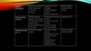 Jugulo-
omohyoid
Above junction of
internal jugular
vein and
muscle
Posterior 1/3 of
tongue
Submandibular
nodes
Submental nodes
Inferior deep
cervical lymph
nodes
Inferior deep
cervical
Along internal
jugular vein below
omohyoid muscle
deep to the
sternocleidomastoi
d muscle
Transverse cervical
nodes
Anterior cervical
nodes
Superior deep
cervical nodes
Jugular trunk
Retropharynge
al (1-3)
Retropharyngeal
space
Posterior nasal
cavity
Paranasal sinuses
Hard and soft
palate
Nasopharynx,
oropharynx
Anditory tube
Superior deep
cervical nodes
 