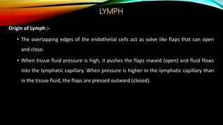 LYMPH
Origin of Lymph :-
• The overlapping edges of the endothelial cells act as valve like flaps that can open
and close.
• When tissue fluid pressure is high, it pushes the flaps inward (open) and fluid flows
into the lymphatic capillary. When pressure is higher in the lymphatic capillary than
in the tissue fluid, the flaps are pressed outward (closed).
 