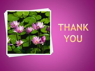 LEVELS OF MANAGEMENT.pptx