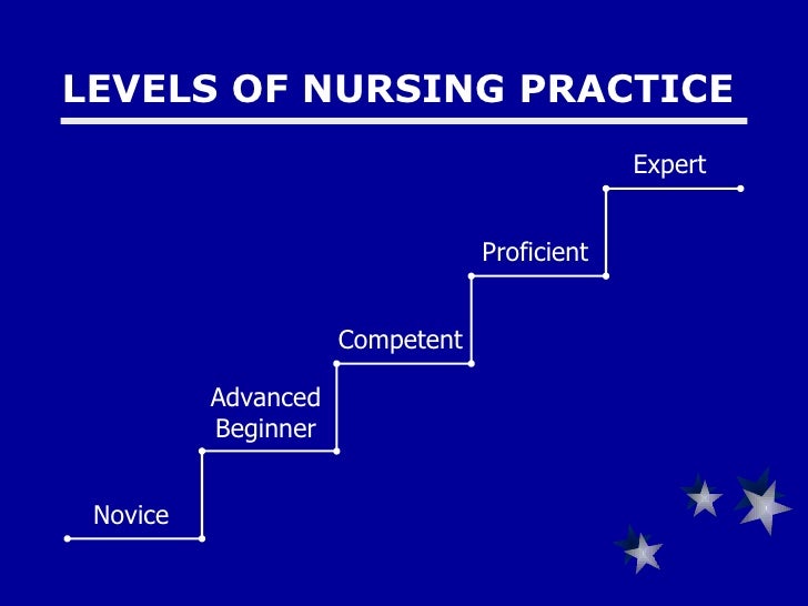 Levels Of Nursing Practice