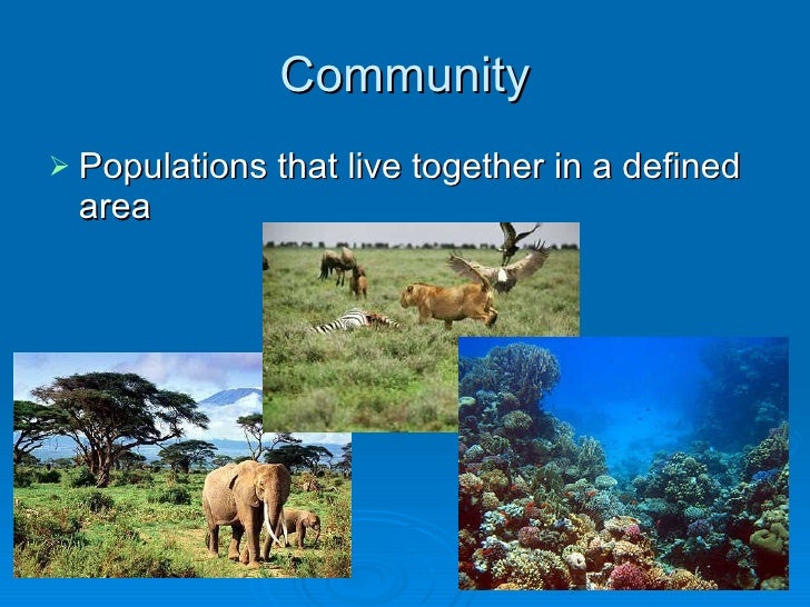 Levels of organization