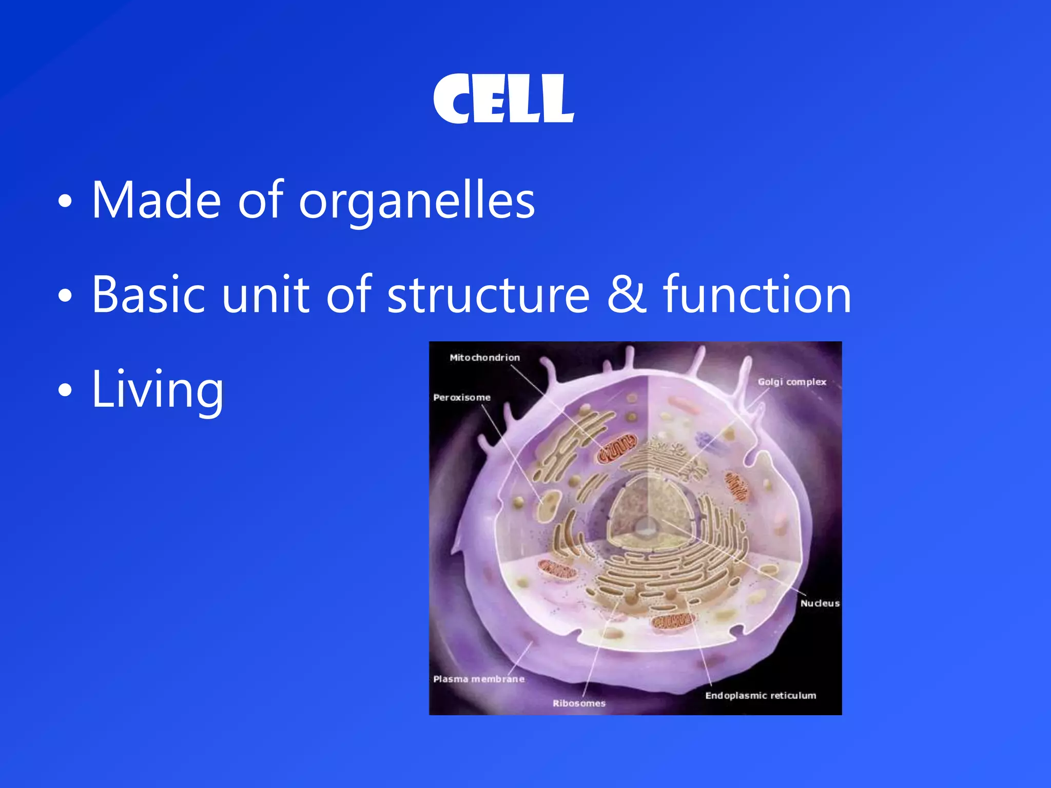 Cell
• Made of organelles
• Basic unit of structure & function
• Living