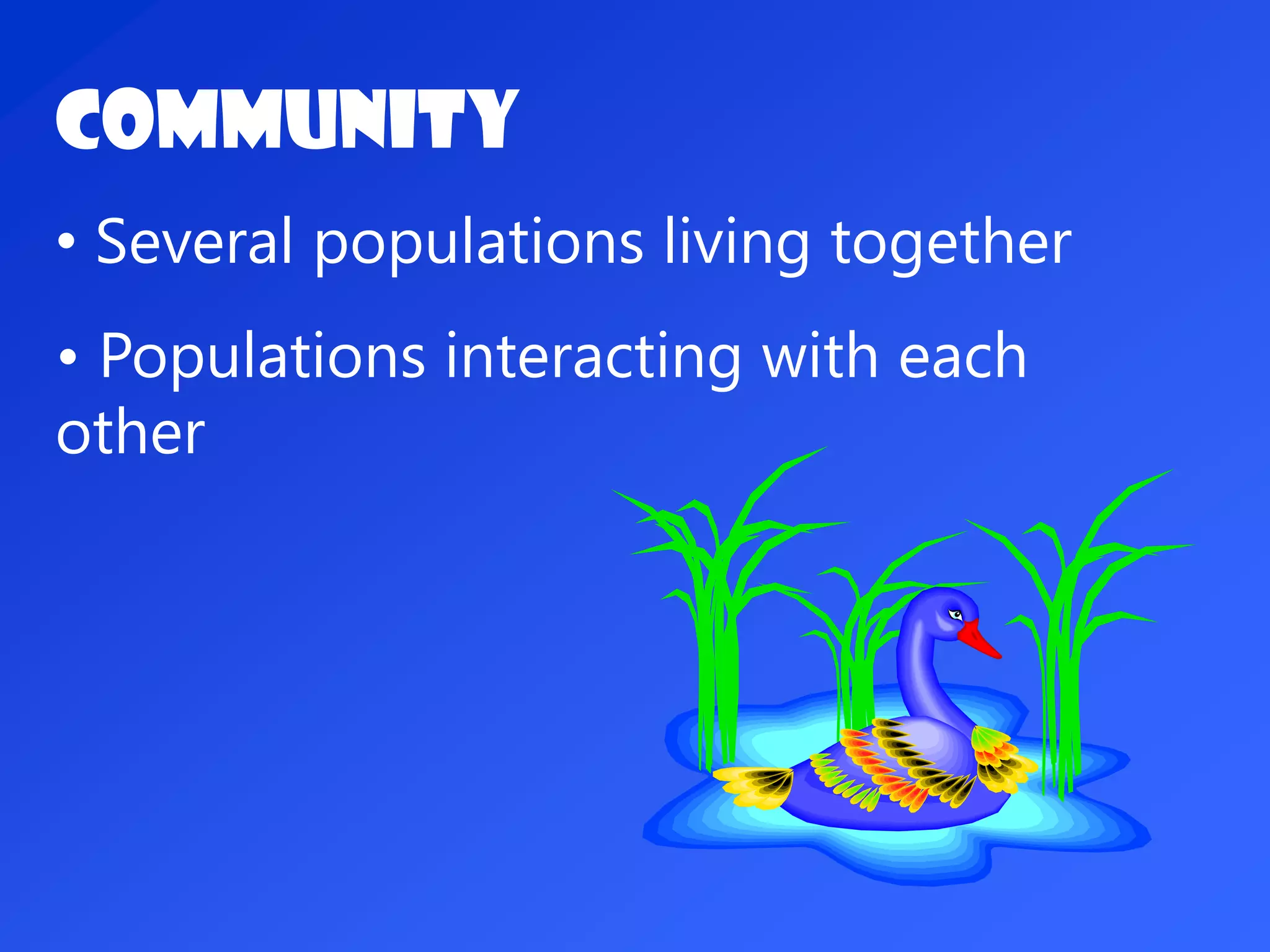 Community
• Several populations living together
• Populations interacting with each
other
