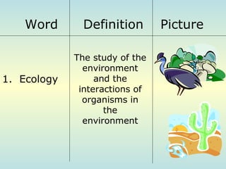 Word

1. Ecology

Definition
The study of the
environment
and the
interactions of
organisms in
the
environment

Picture

 