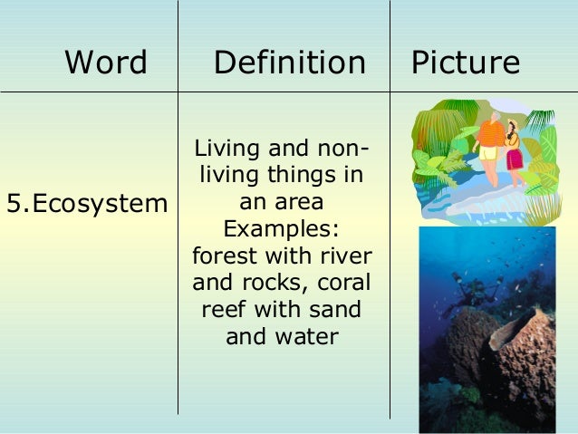 wallpapers Non Living Things Coral Reefs Example levels of organization