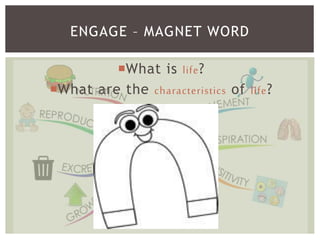 What is life?
What are the characteristics of life?
ENGAGE – MAGNET WORD
 
