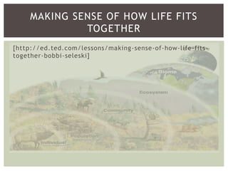 [http://ed.ted.com/lessons/making-sense-of-how-life-fits-
together-bobbi-seleski]
MAKING SENSE OF HOW LIFE FITS
TOGETHER
 
