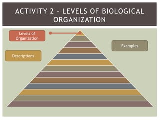 ACTIVITY 2 – LEVELS OF BIOLOGICAL
ORGANIZATION
Levels of
Organization
Descriptions
Examples
 