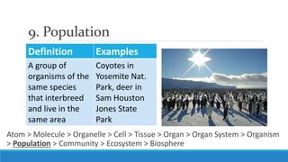 Biological Organization | PPSX