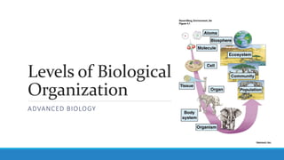 Levels of Biological
Organization
ADVANCED BIOLOGY
 