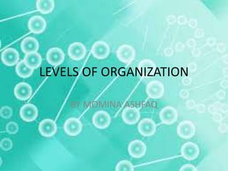LEVELS OF ORGANIZATION
BY MOMINA ASHFAQ
 