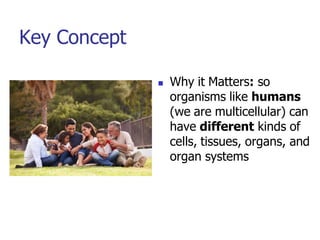 Key Concept
 Why it Matters: so
organisms like humans
(we are multicellular) can
have different kinds of
cells, tissues, organs, and
organ systems
 