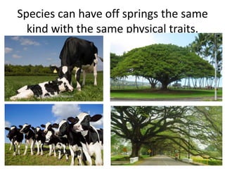 Species can have off springs the same 
kind with the same physical traits. 
 