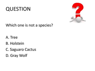 QUESTION 
Which one is not a species? 
A. Tree 
B. Holstein 
C. Saguaro Cactus 
D. Gray Wolf 
 