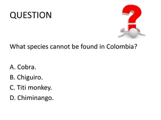 QUESTION 
What species cannot be found in Colombia? 
A. Cobra. 
B. Chiguiro. 
C. Titi monkey. 
D. Chiminango. 
 