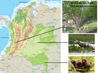 Where do you think 
this picture was taken? 
 