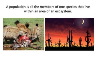 A population is all the members of one species that live 
within an area of an ecosystem. 
 