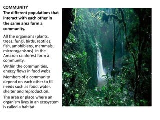 COMMUNITY 
The different populations that 
interact with each other in 
the same area form a 
community. 
All the organisms (plants, 
trees, fungi, birds, reptiles, 
fish, amphibians, mammals, 
microorganisms) in the 
Amazon rainforest form a 
community. 
Within the communities, 
energy flows in food webs. 
Members of a community 
depend on each other to fill 
needs such as food, water, 
shelter and reproduction. 
The area or place where an 
organism lives in an ecosystem 
is called a habitat. 
 