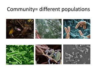 Community= different populations 
 