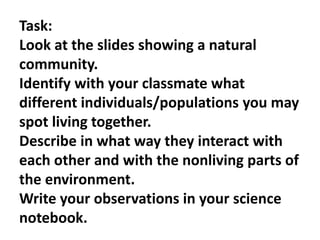 Task: 
Look at the slides showing a natural 
community. 
Identify with your classmate what 
different individuals/populations you may 
spot living together. 
Describe in what way they interact with 
each other and with the nonliving parts of 
the environment. 
Write your observations in your science 
notebook. 
 