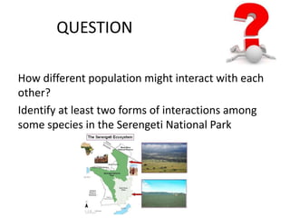 QUESTION 
How different population might interact with each 
other? 
Identify at least two forms of interactions among 
some species in the Serengeti National Park 
 
