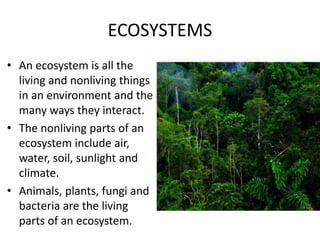ECOSYSTEMS 
• An ecosystem is all the 
living and nonliving things 
in an environment and the 
many ways they interact. 
• The nonliving parts of an 
ecosystem include air, 
water, soil, sunlight and 
climate. 
• Animals, plants, fungi and 
bacteria are the living 
parts of an ecosystem. 
 