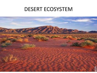 DESERT ECOSYSTEM 
 