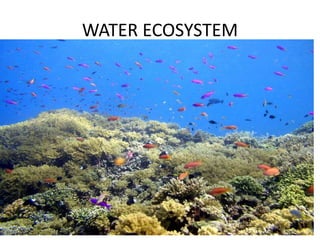 WATER ECOSYSTEM 
 