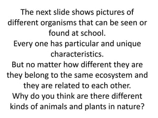 The next slide shows pictures of 
different organisms that can be seen or 
found at school. 
Every one has particular and unique 
characteristics. 
But no matter how different they are 
they belong to the same ecosystem and 
they are related to each other. 
Why do you think are there different 
kinds of animals and plants in nature? 
 