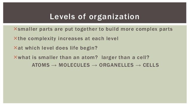 what are the levels of organization