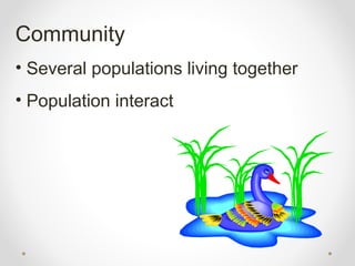 Community
• Several populations living together
• Population interact
 