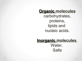 Organic molecules
  carbohydrates,
      proteins,
    lipids and
   nucleic acids.

Inorganic molecules
       Water,
        Salts
 