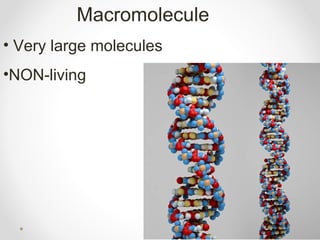 Macromolecule
• Very large molecules
•NON-living
 