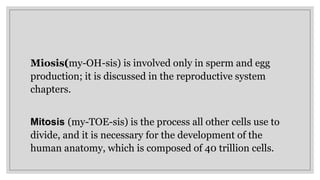 Levels of Organization of the Human Body 2.pptx