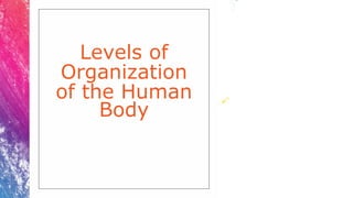 Levels of
Organization
of the Human
Body
 