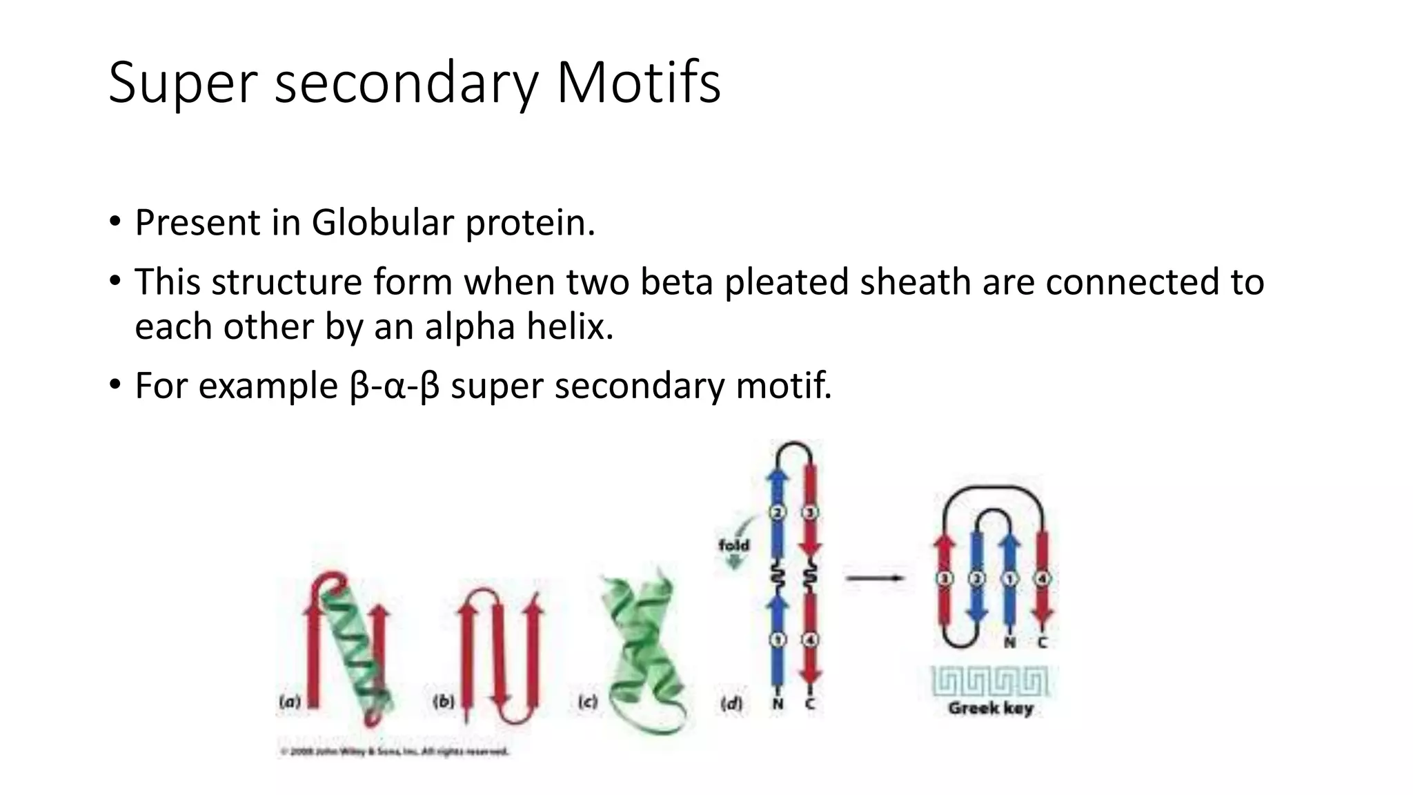 Different Levels Of Protein PPTX different-levels-of-protein-pptx