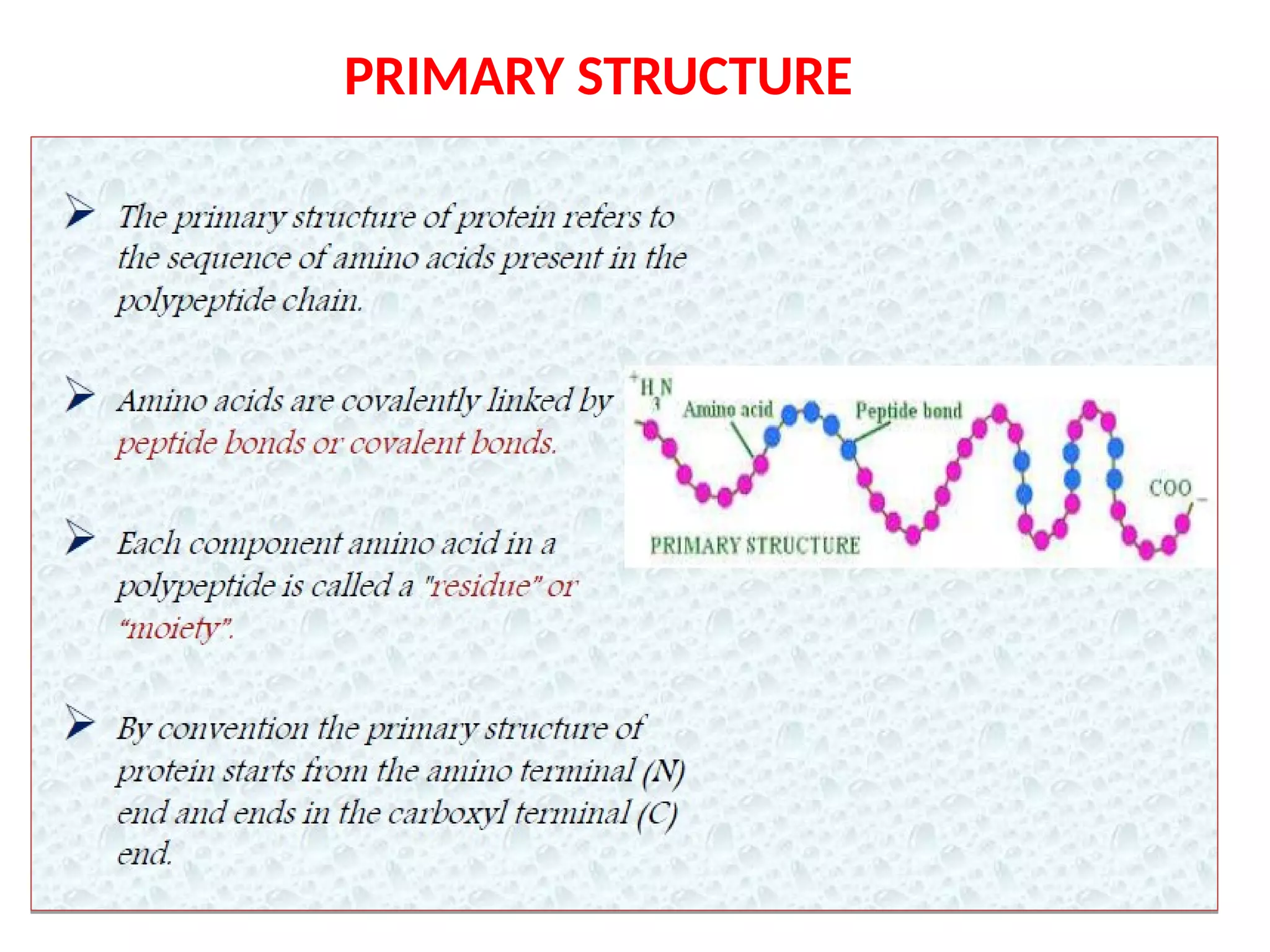 PRIMARY STRUCTURE