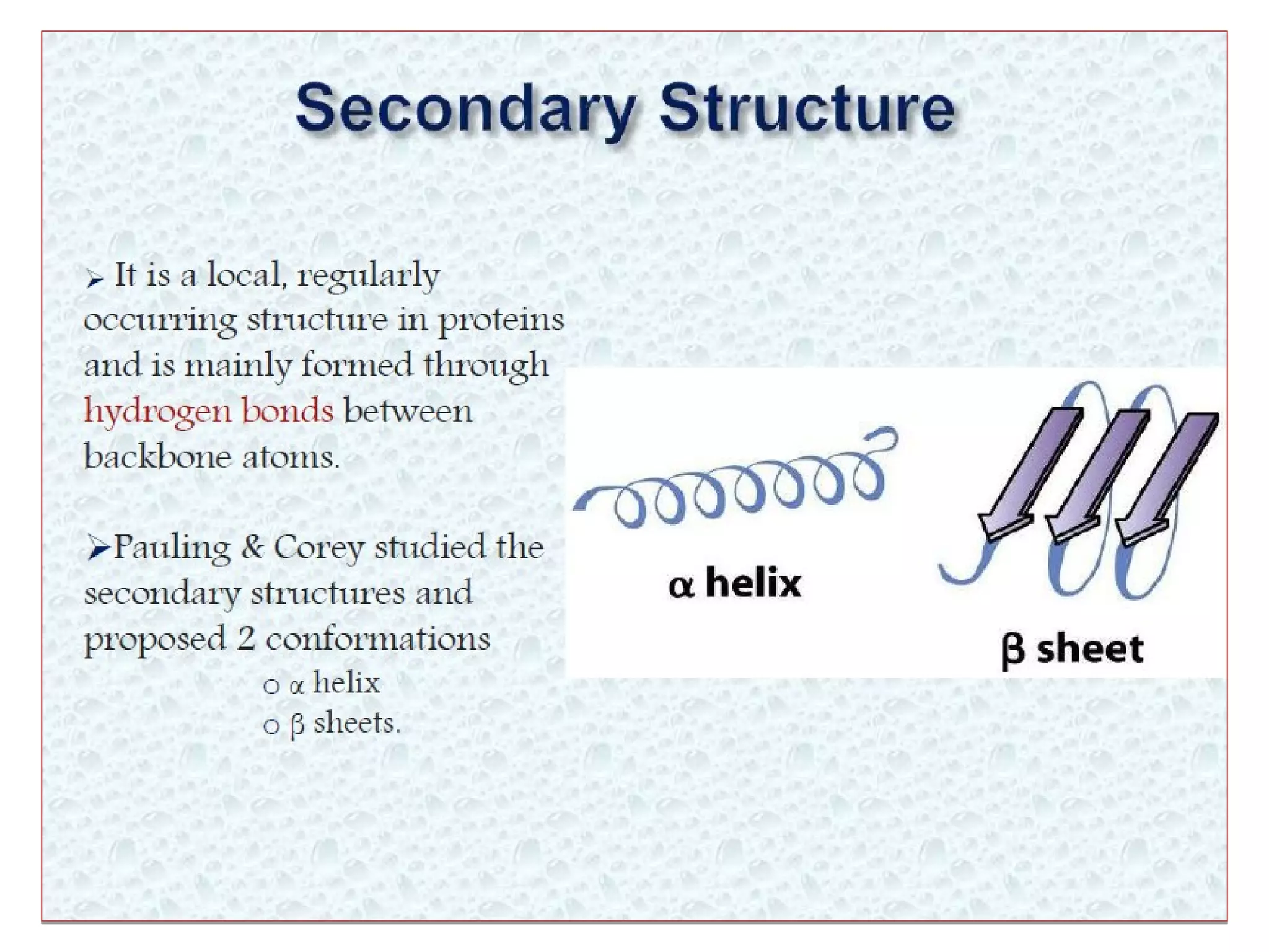 Levels of protein structure