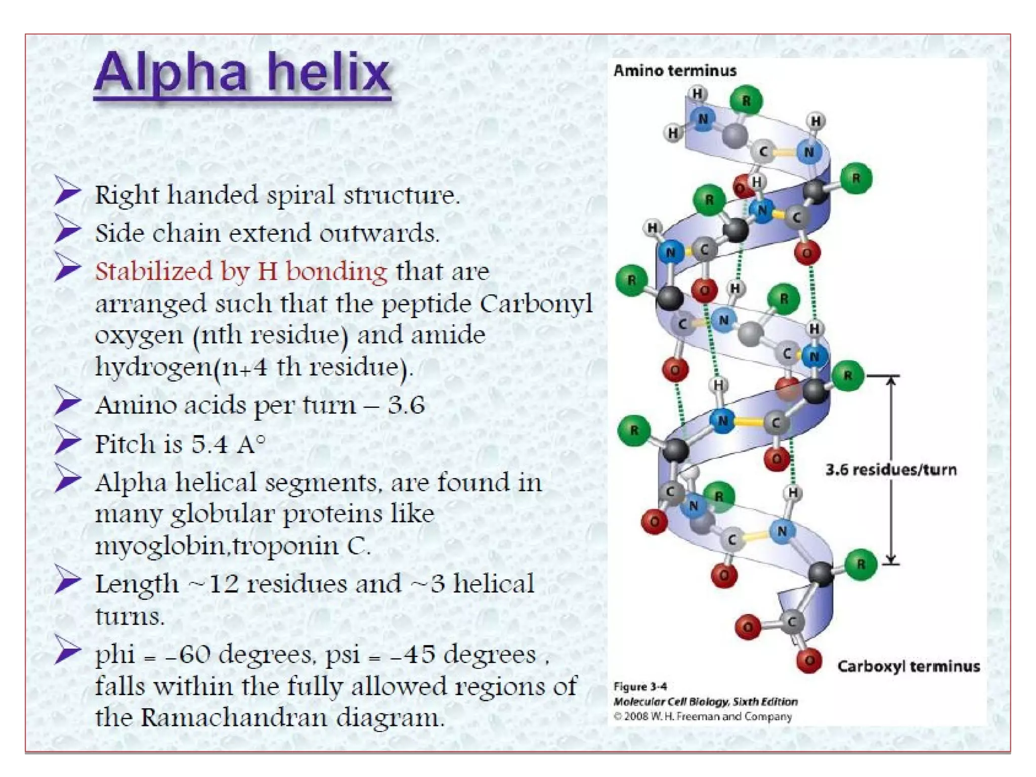 Levels of protein structure