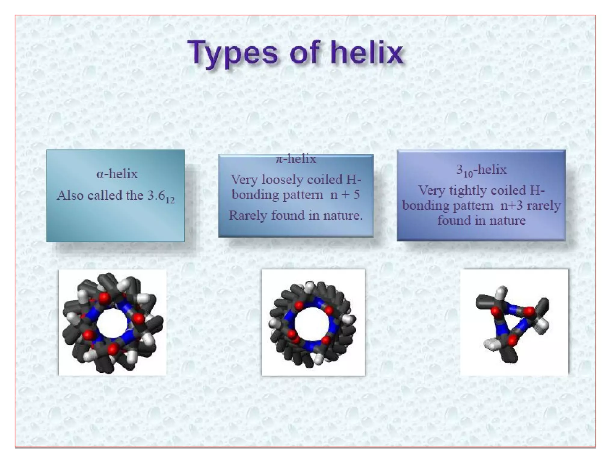 Levels of protein structure
