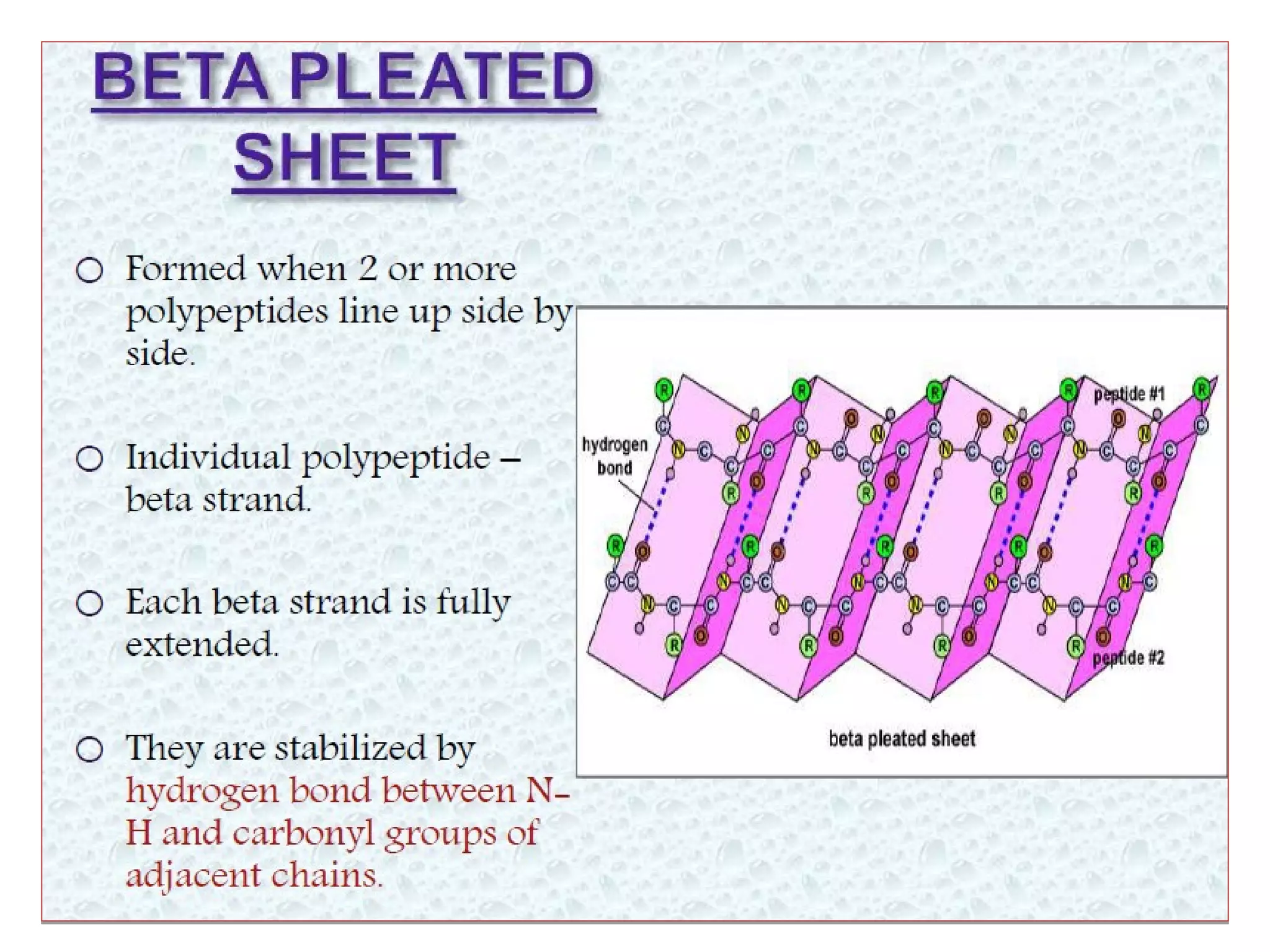 Levels of protein structure